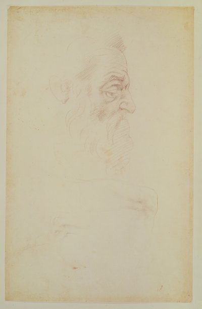Sketch of a male head and two legs by Michelangelo Buonarroti